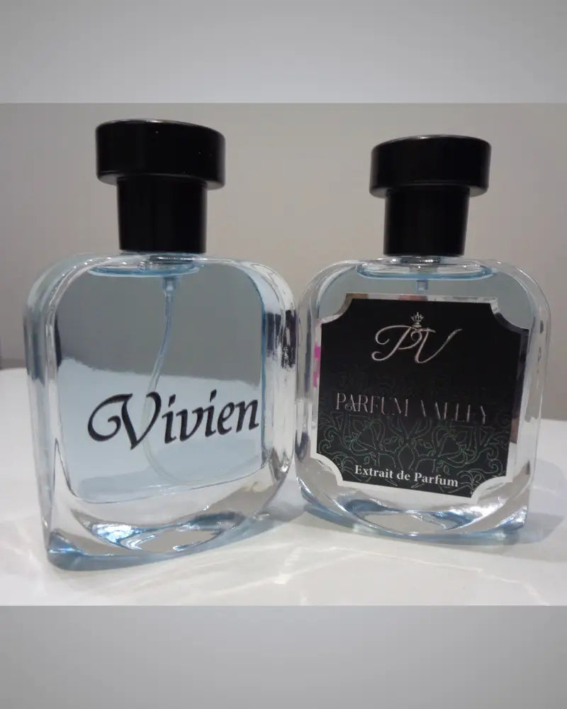 Vivien – Chypre Fruity Woody Spicy Perfume for Men