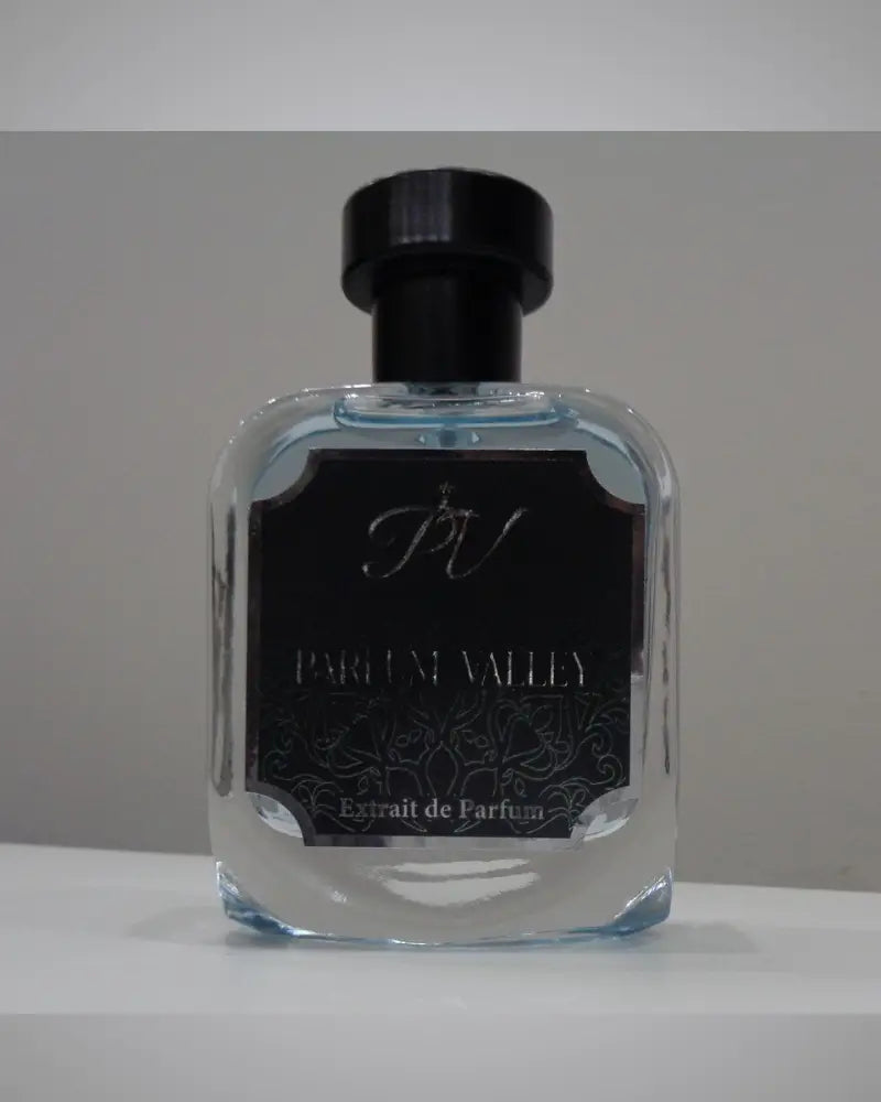 Vivien – Chypre Fruity Woody Spicy Perfume for Men